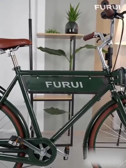 Drop Shipping Ultralight Urban Track Aluminum Fixie Electric City Bike, EU Style Men Adult 700c Single Speed Fixed Gear Ebike