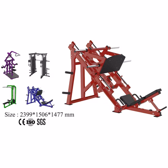 Wholesale Factory Direct Commercial Fitness Equipment Gym Dual Function Free Weight Fitness